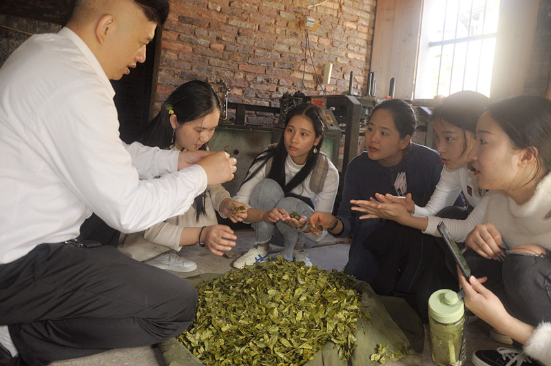厦门茶艺师培训哪家最好?