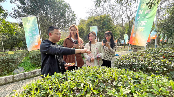 全国茶艺师培训班排名你了解多少? 天晟茶艺培训学校