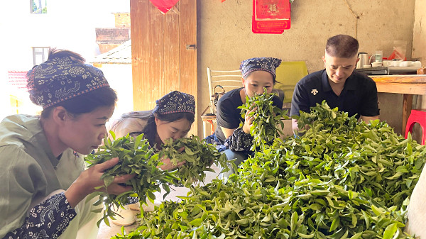 学茶道有前景吗