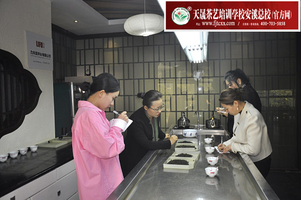 北京茶道培训哪家好一点