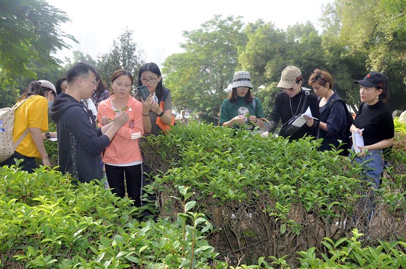 茶艺师培训一般多少钱?