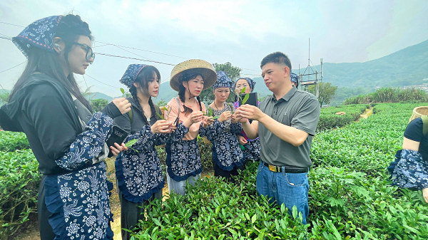 厦门茶艺师培训